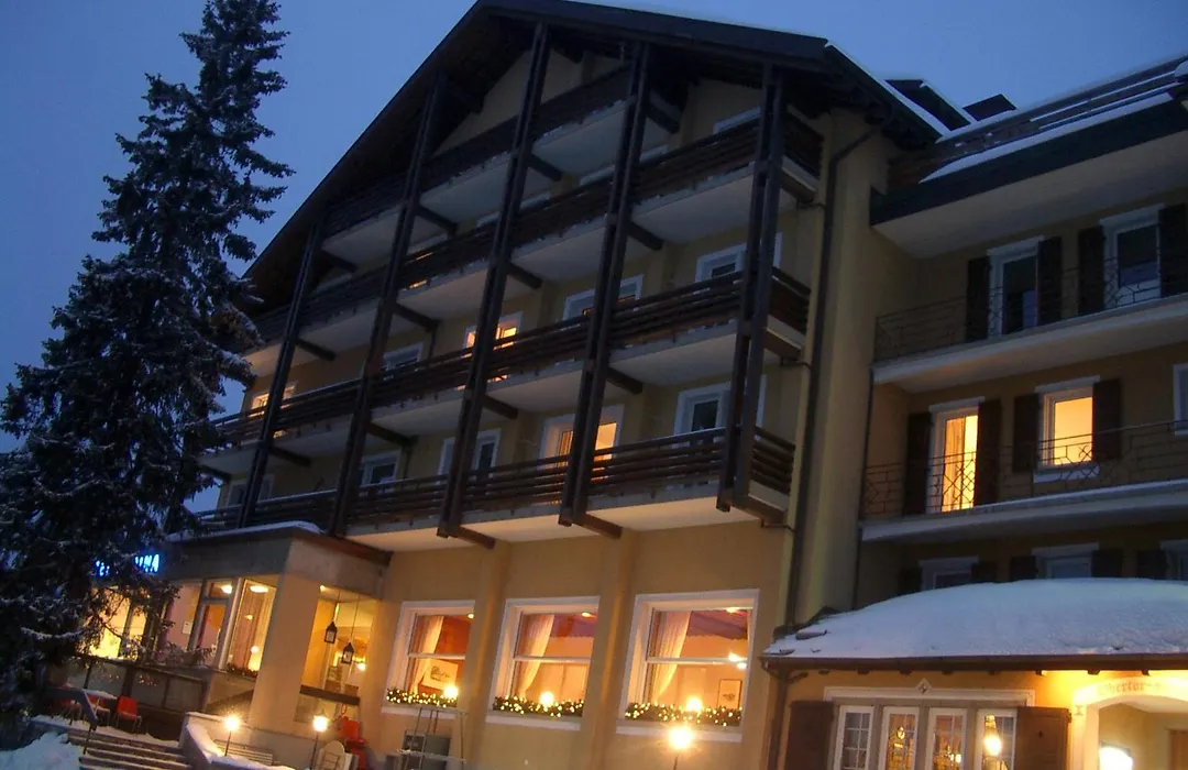 Hotel Alpina Parpan-1