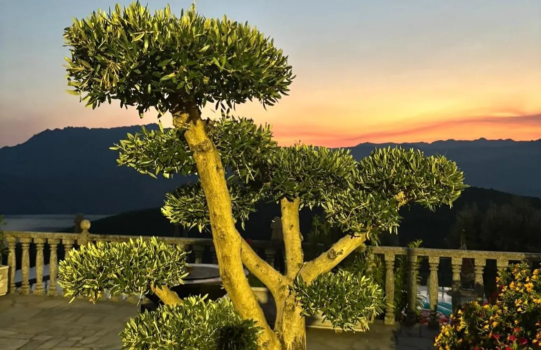 Estrela do Gerês - Casa Fernandes-1