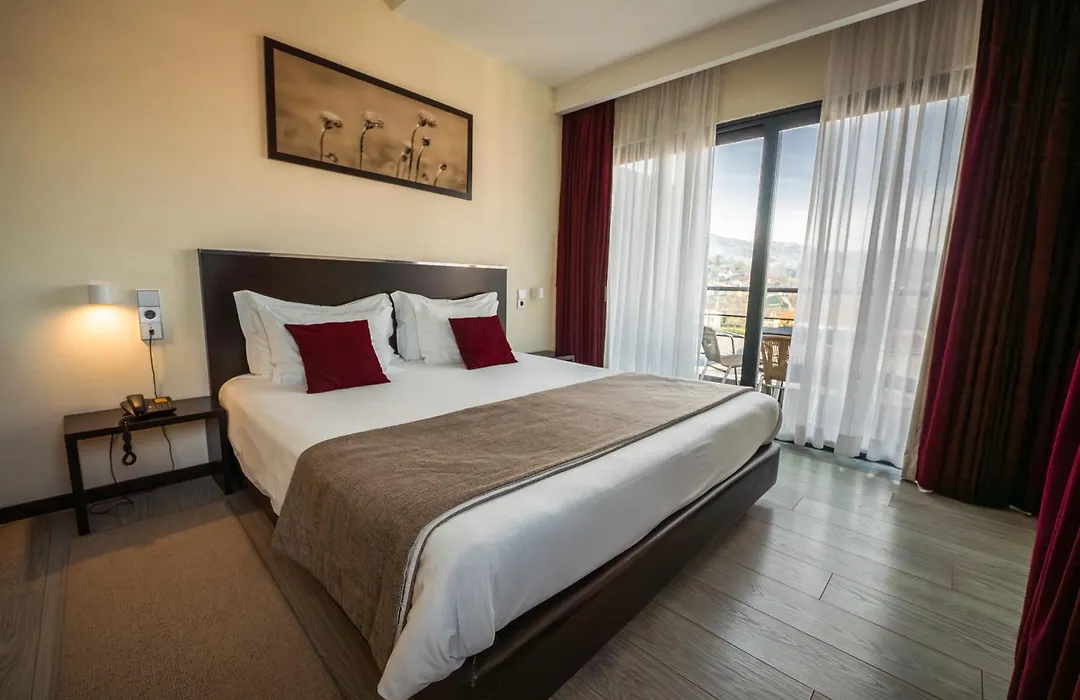 Hotel Sao Pedro - Arouca-1
