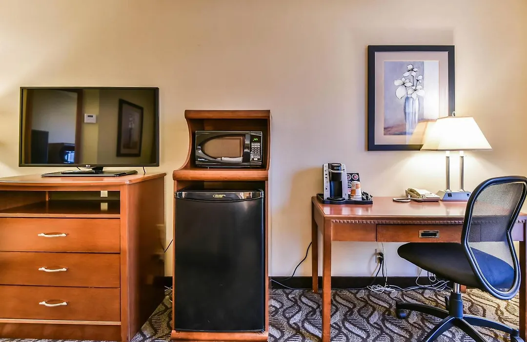 Comfort Inn & Suites Ambassador Bridge-1