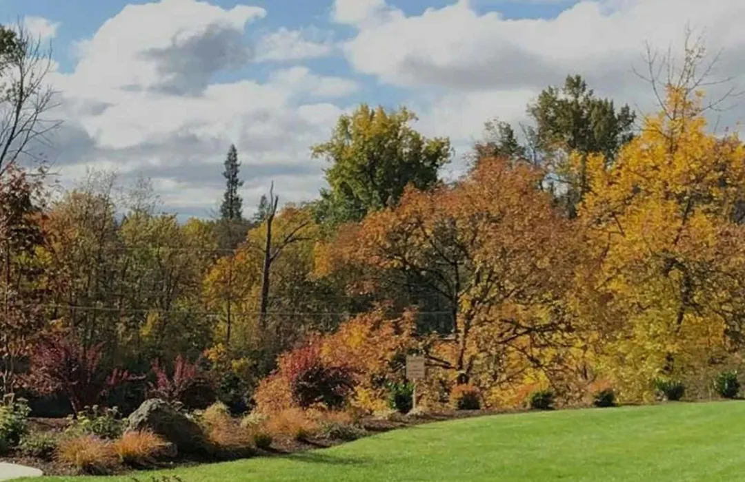 The Lodge At Roseburg-1