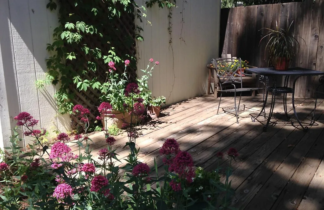 Backyard Garden Oasis-1