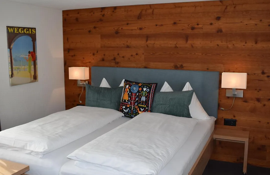 Hotel Friedheim Weggis-1