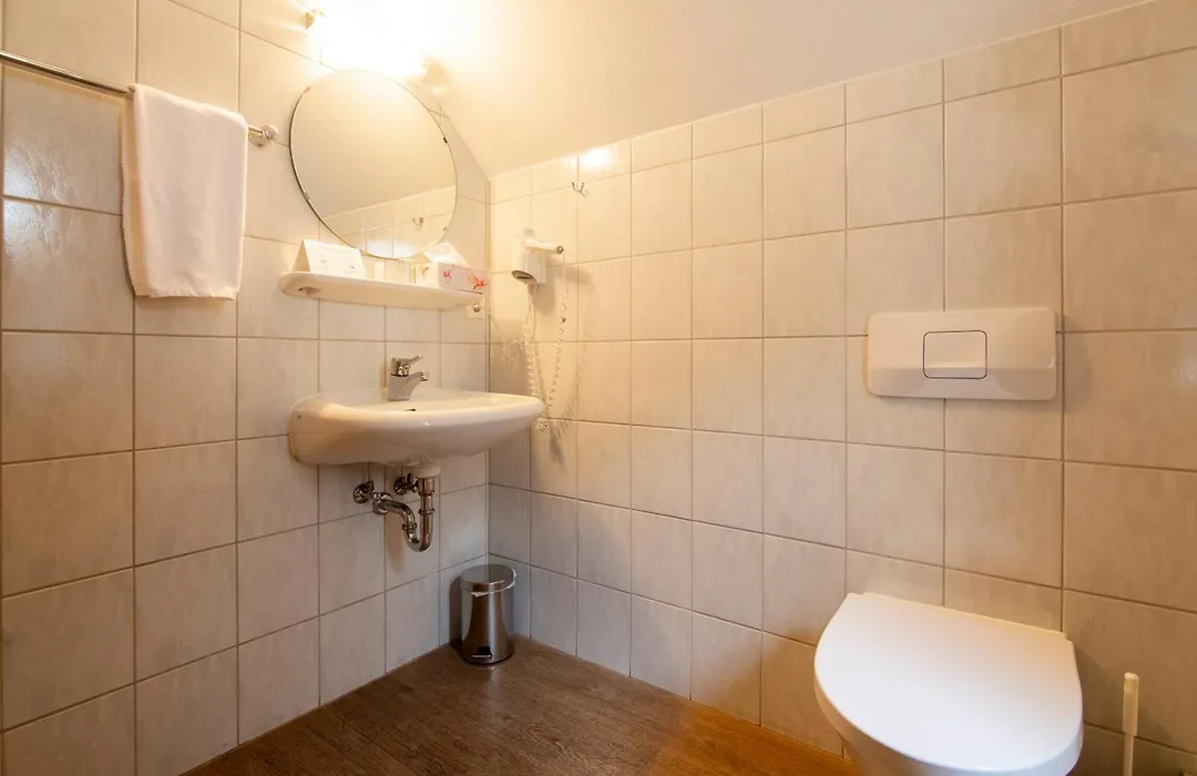 Hotel Zur Traube-1