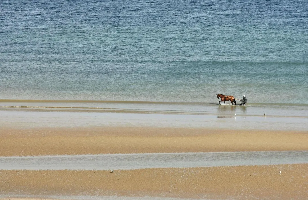Le Grand Hotel De Cabourg - Mgallery Collection-1