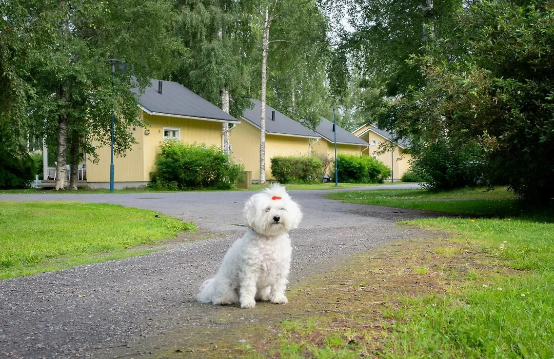 Nallikari Seaside Cottages-1