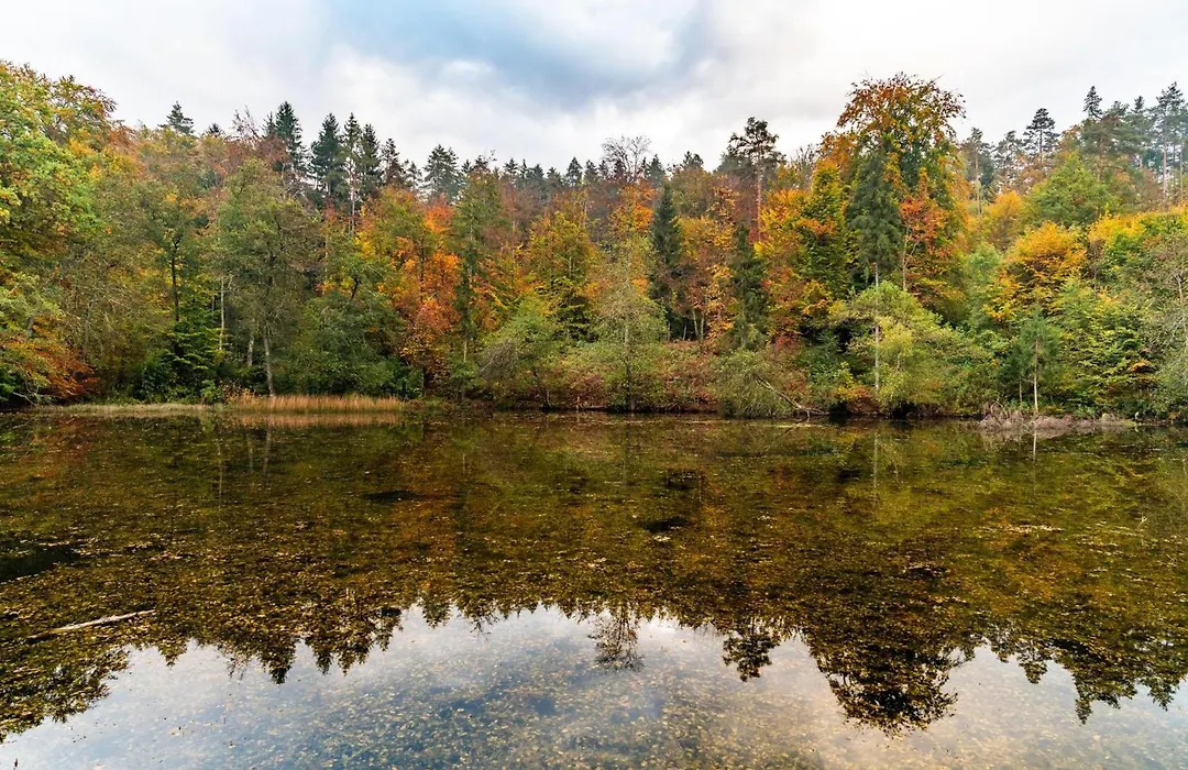 Europarcs Woerthersee-1
