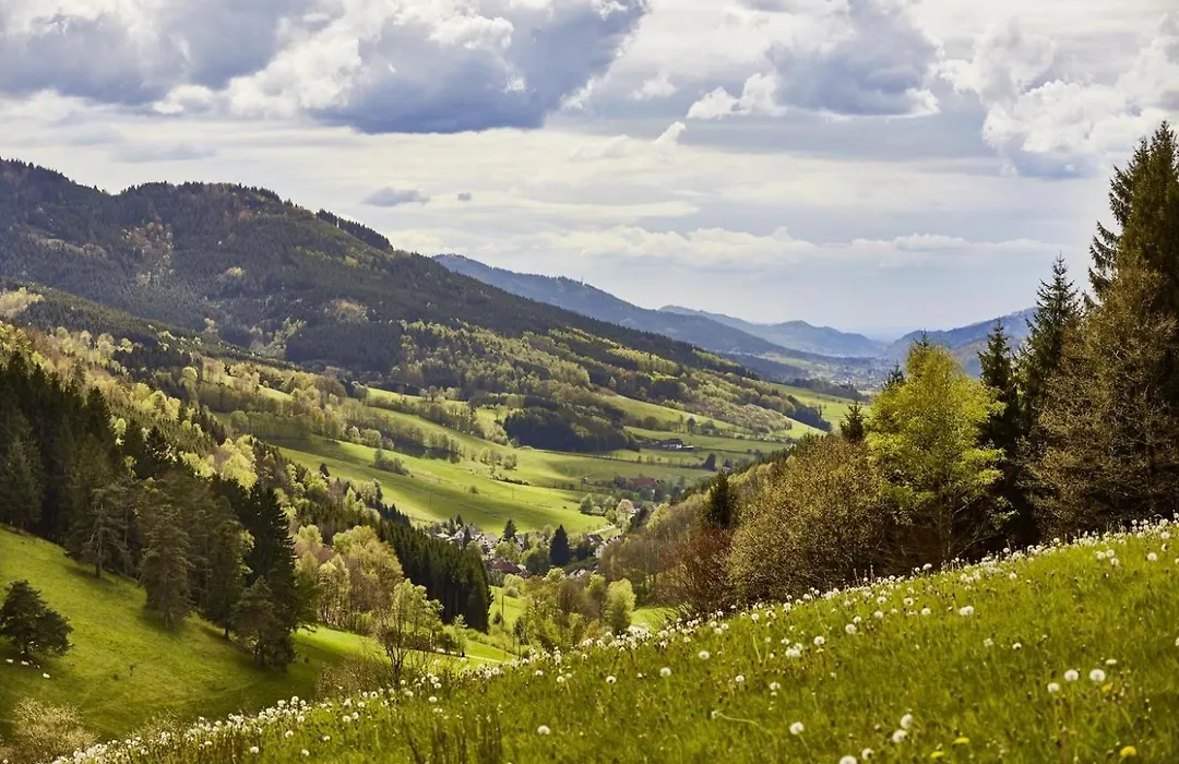 ElzLand Hotel Pfauen WELLNESS, SPA&VITALIS HOTEL-1