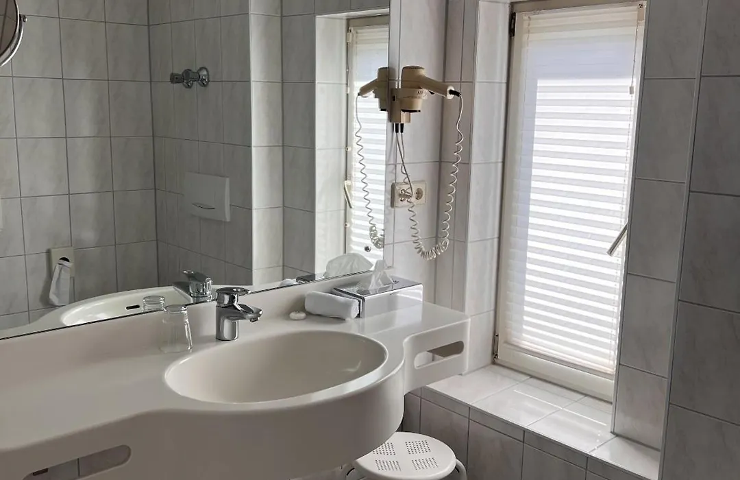 Parkhotel Krone Maleck-1