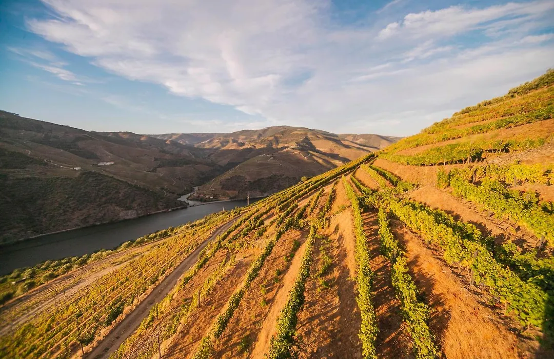 Quinta Vale De Lobos-1