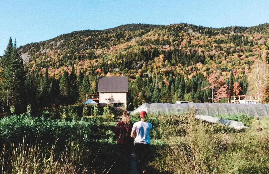 Farouche Tremblant - Hotel Nature&Expériences-1
