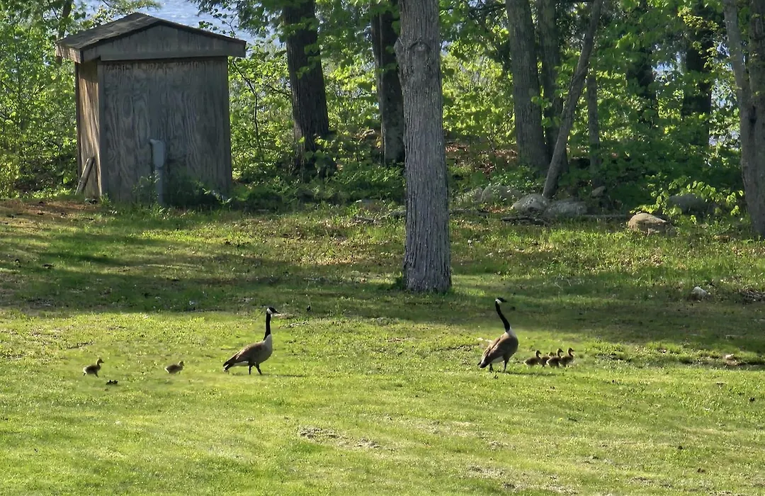 Lake Shore Farm Inn-1