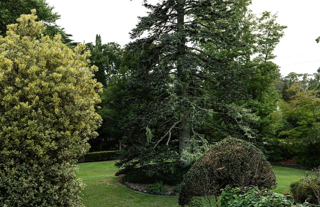 Comfort Resort Leura Gardens-1