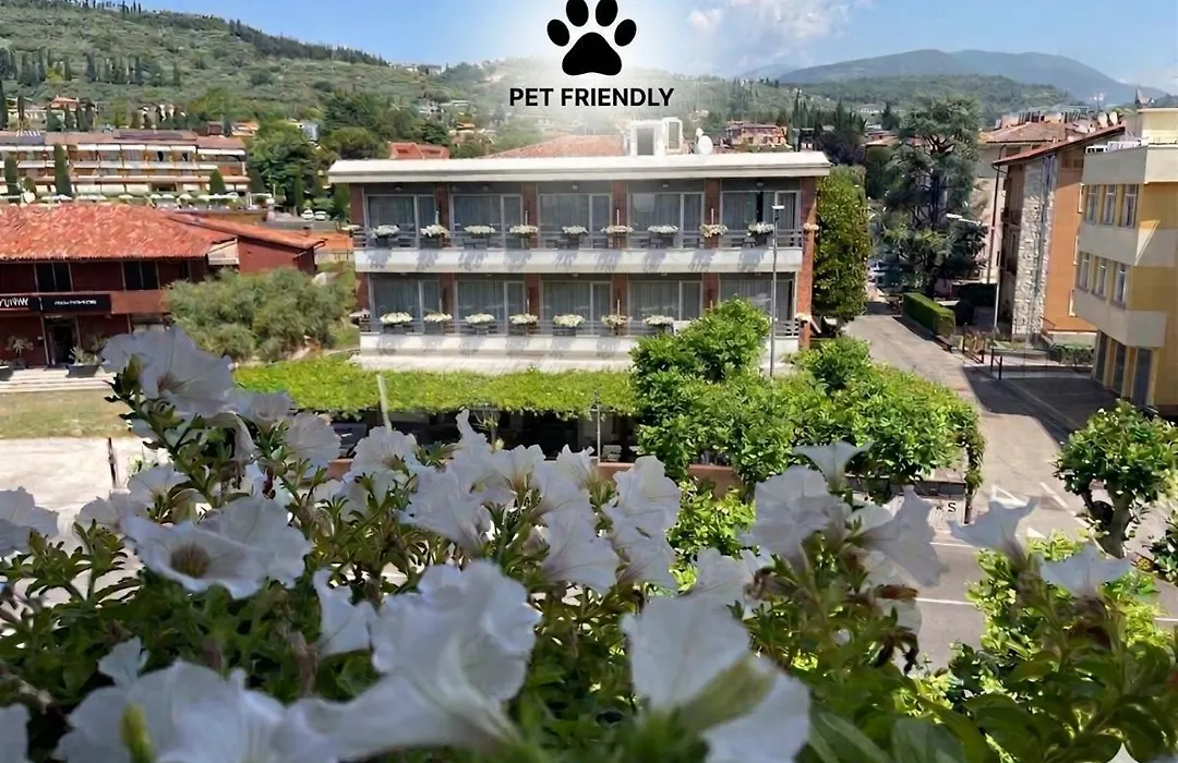 Hotel Benaco Garda ***S-1