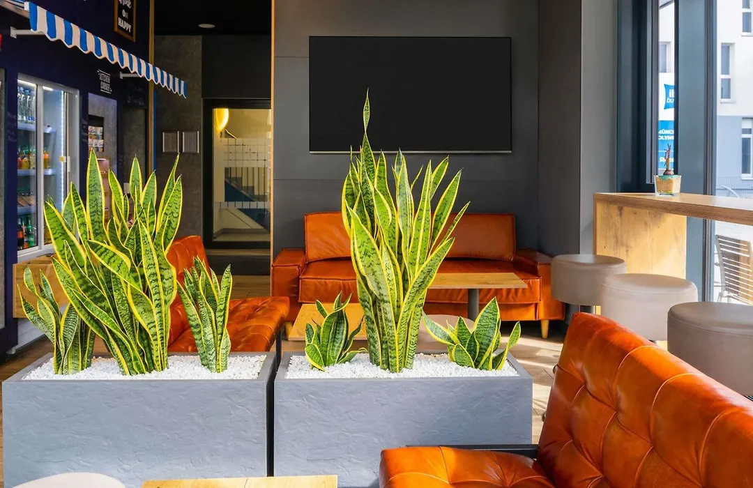 ibis budget Muenchen City Olympiapark-1