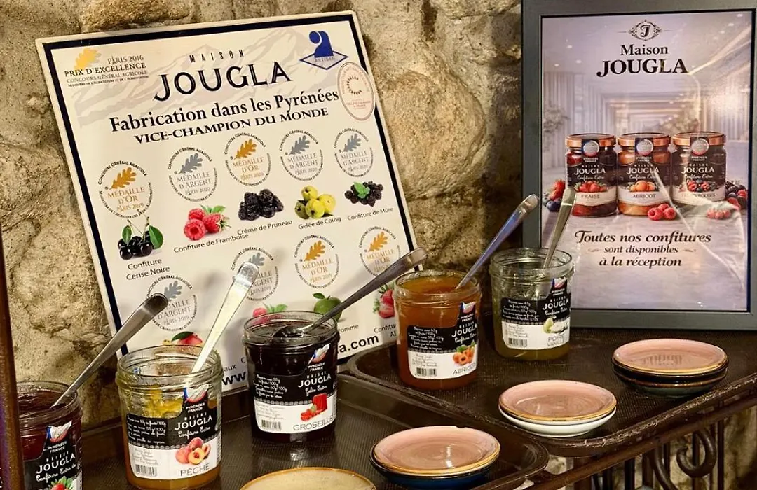 Hotel du Lac&Restaurant Foix-1