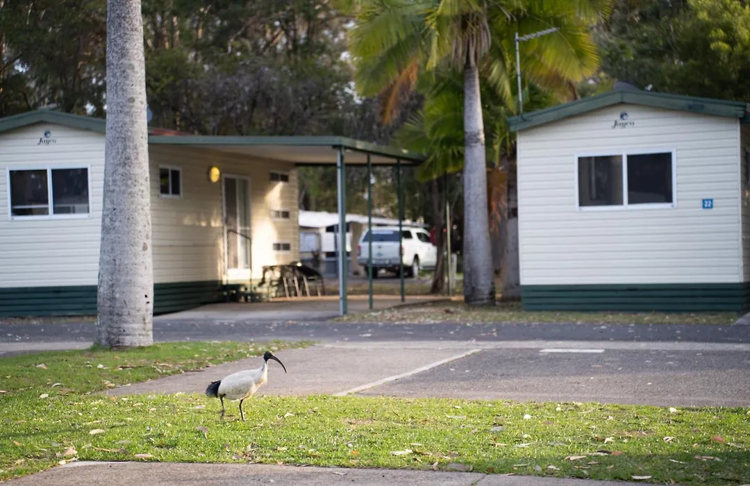 Reflections Coffs Harbour - Holiday Park-1