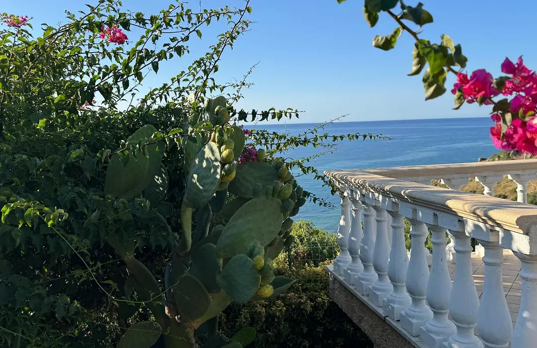 Casa Elvira-1
