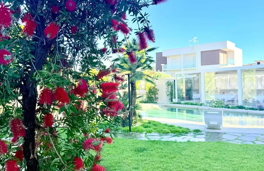 Hotel Elio-1