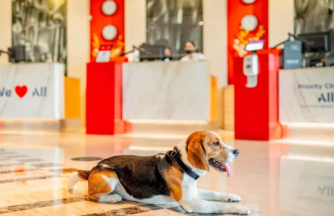 Ibis Barcelona Castelldefels-1