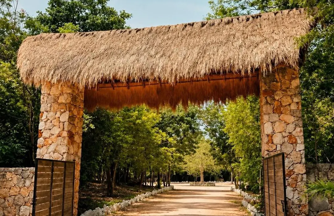 Hotel Boutique Cenote Secreto Maya-1