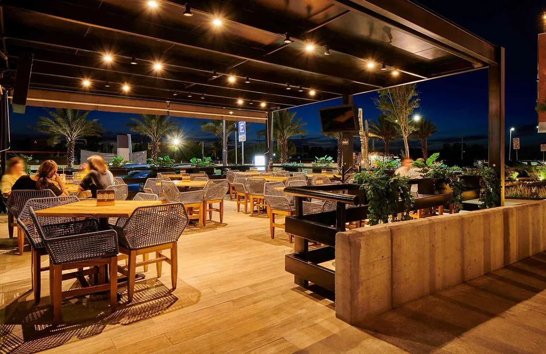 Ibis Torreon-1