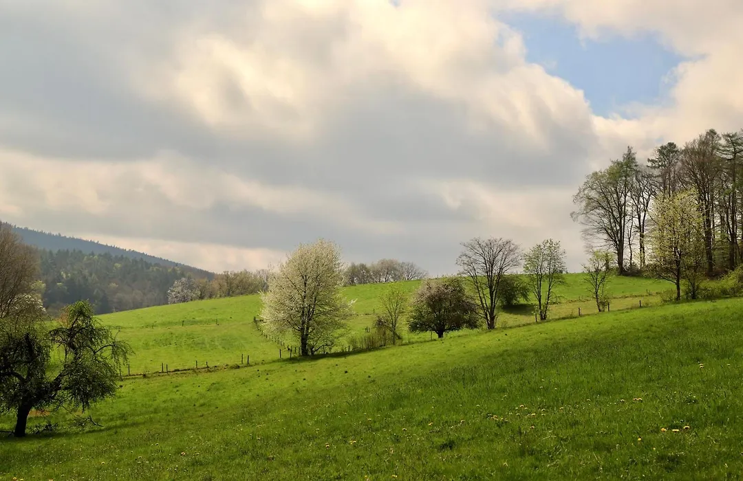 Natur & Wander Hotel Gassbachtal-1