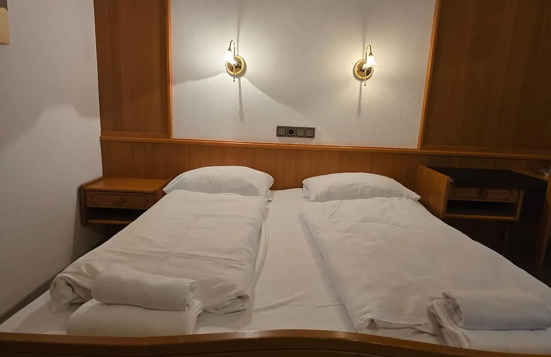 Hotel Zur Buche-1