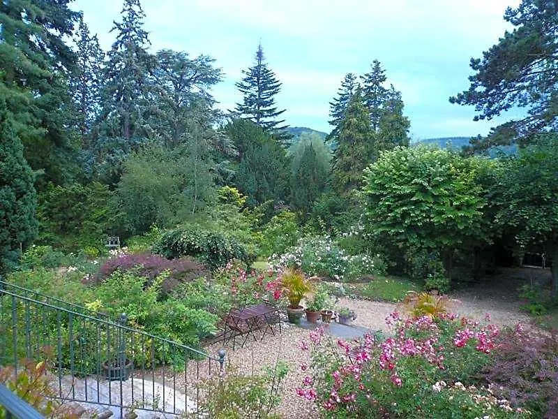 La Pluie De Roses-1