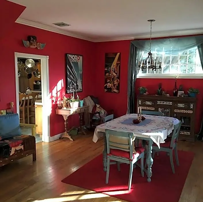 Elaine'S Hollywood Bed & Breakfast-1