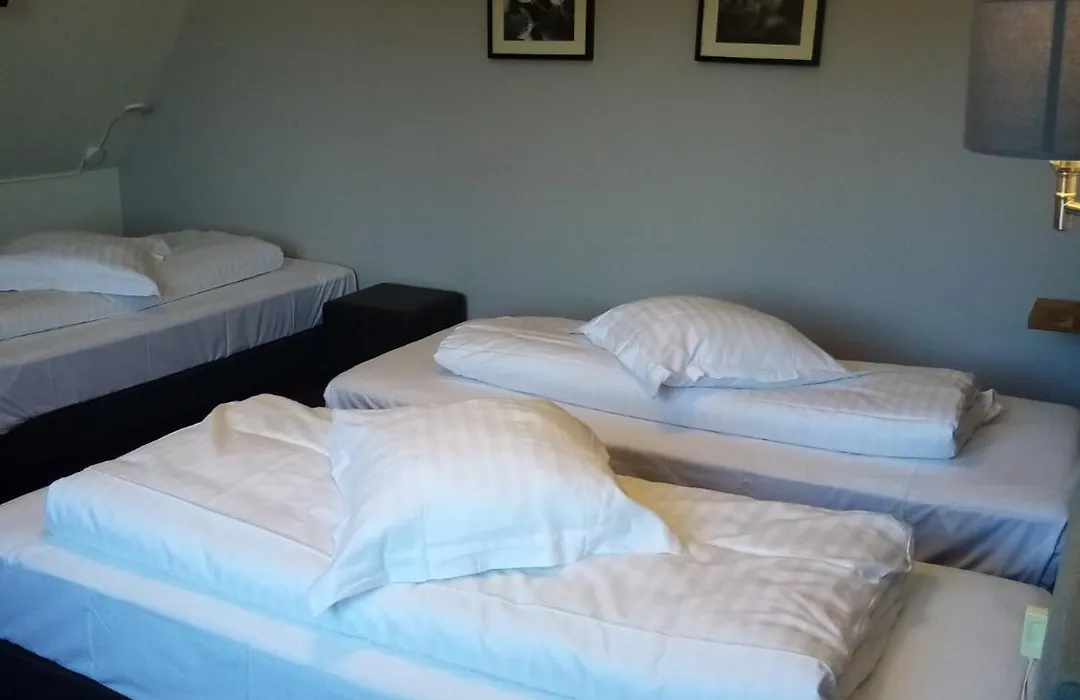 Hôtel 3 étoiles et Restaurant - Le Verger De Bischwiller - Logis Hotels-1