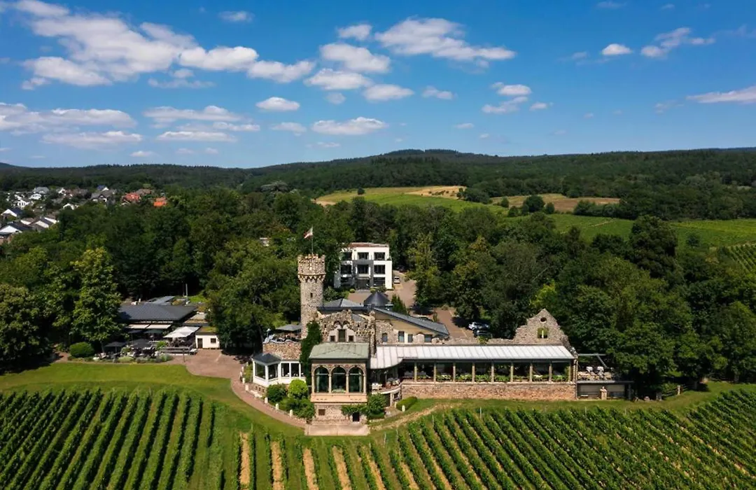 Hotel Burg Schwarzenstein-1