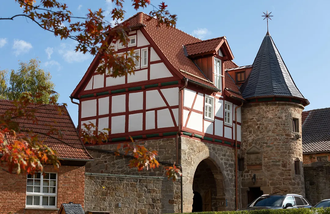 Hotel Brunnenhaus Schloss Landau-1