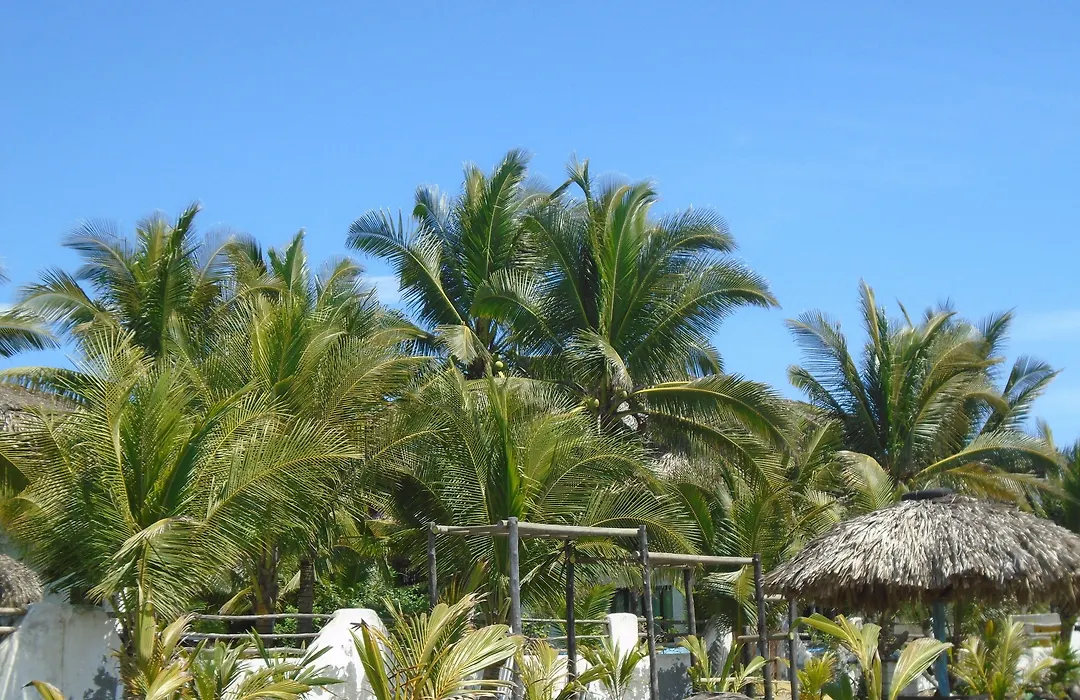 Marbella Eco Lodge-1