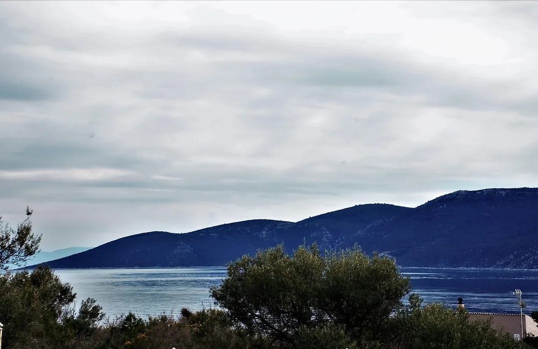 Lavender Cove-1