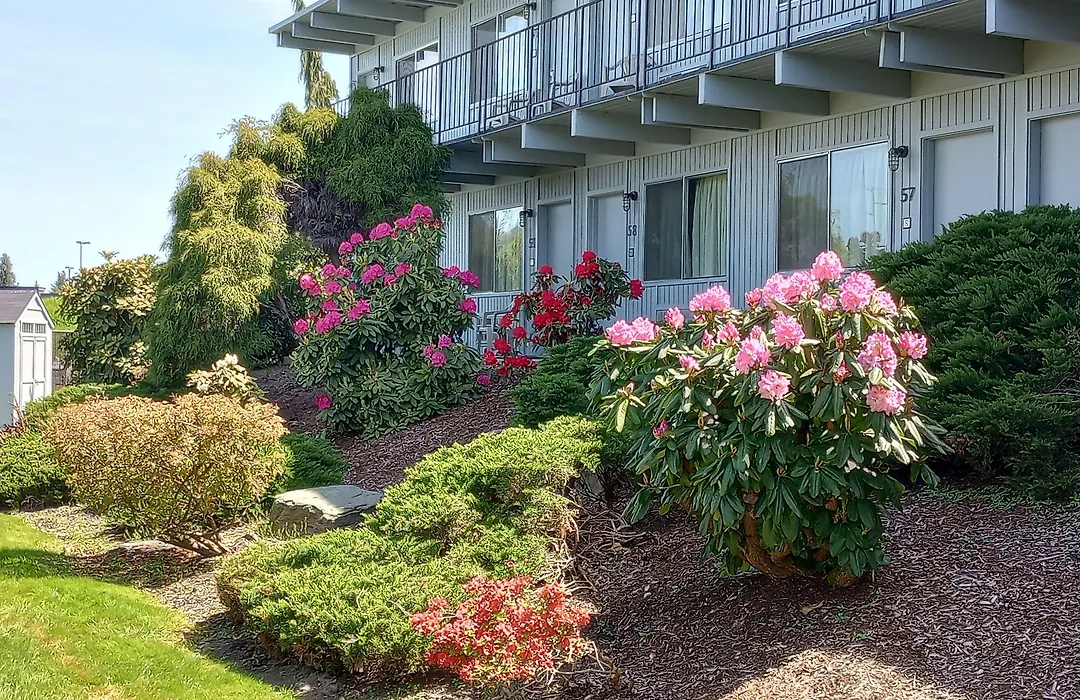 Cocusa Motel-1
