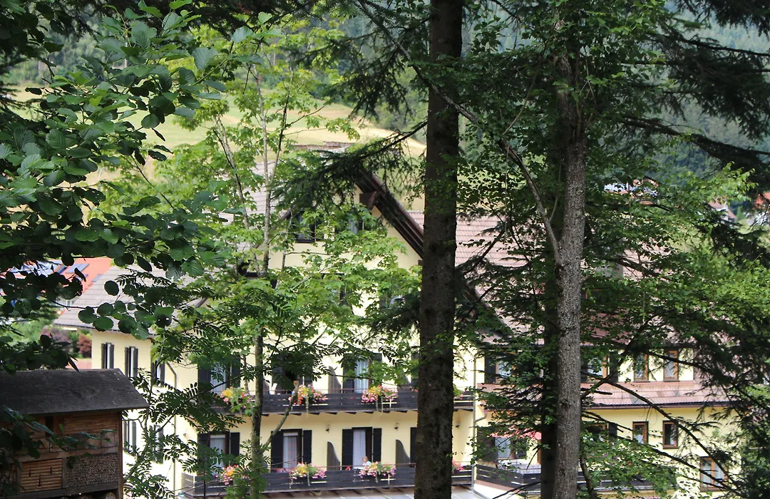 Hotel Adler Post-1