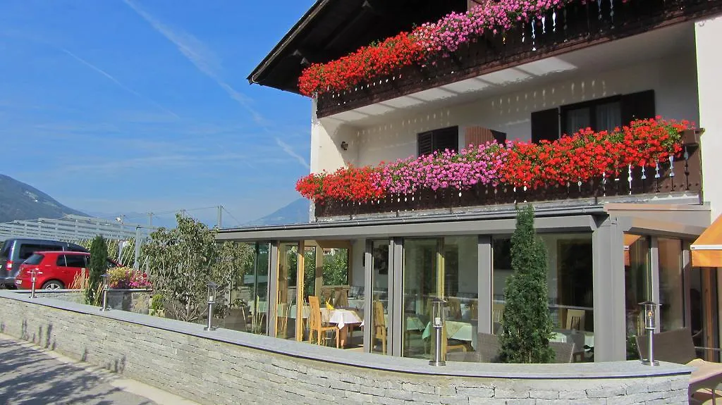 Pension Tannenhof-1