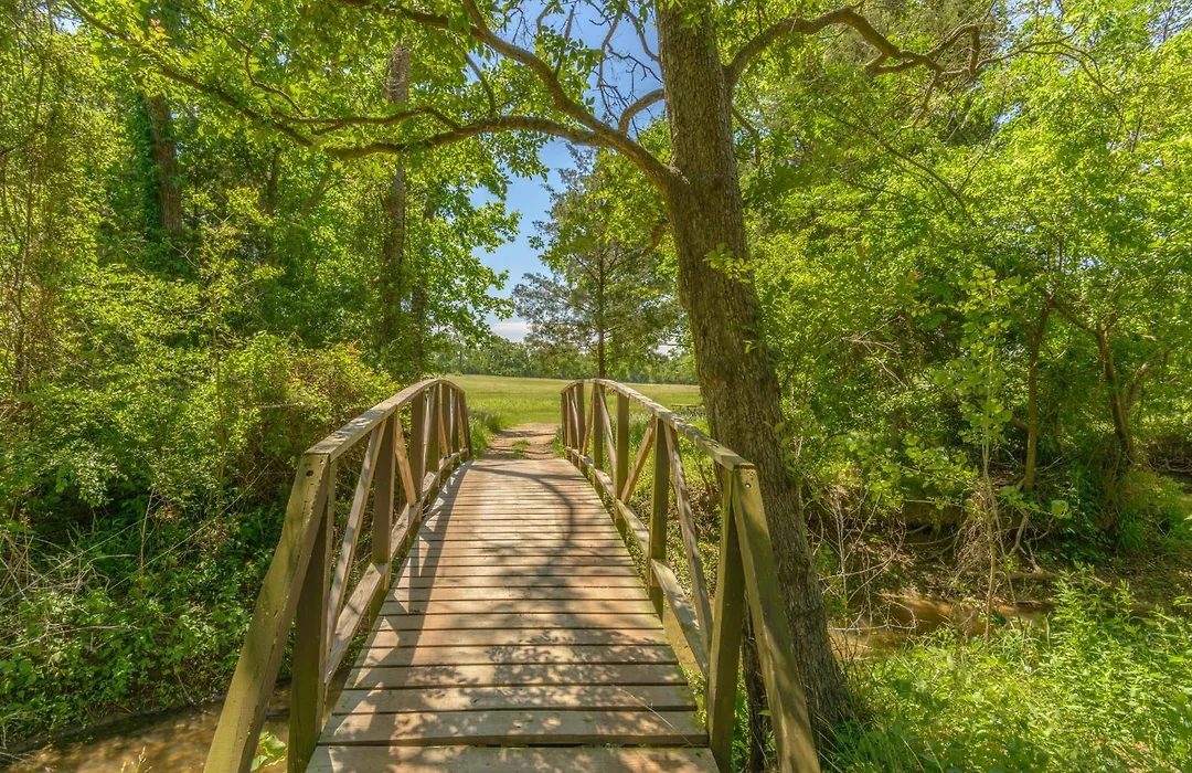 Lake Conroe One-Bedroom Cabin 3-1