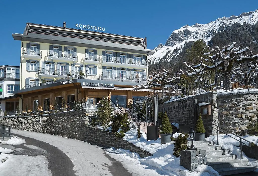 Hotel Schönegg-1
