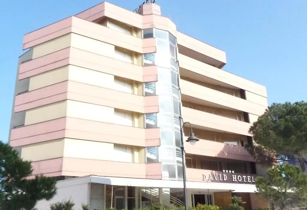 Hotel David-1
