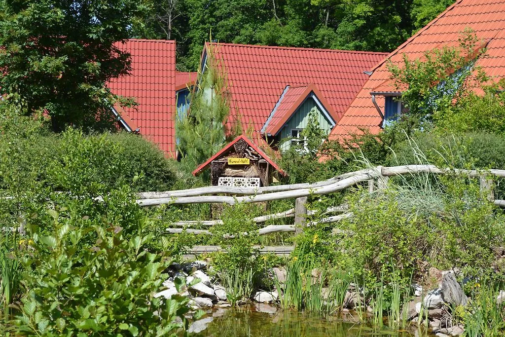 Hasseroeder Ferienpark-1