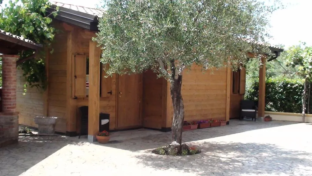 B&B Lo Scoiattolo del Pollino-1