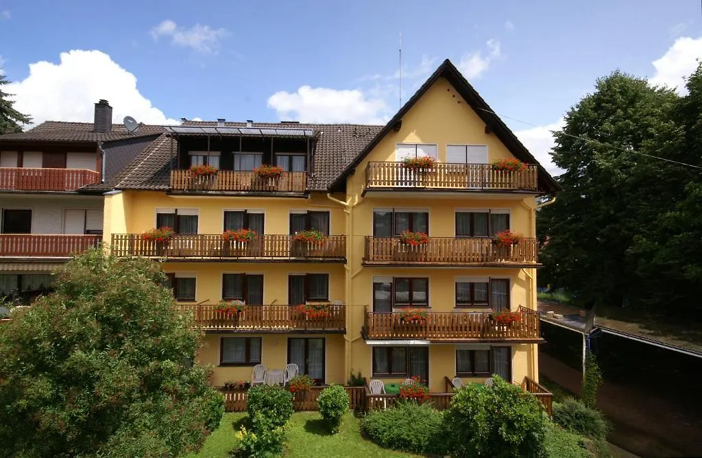 Hotel Weidenau-1