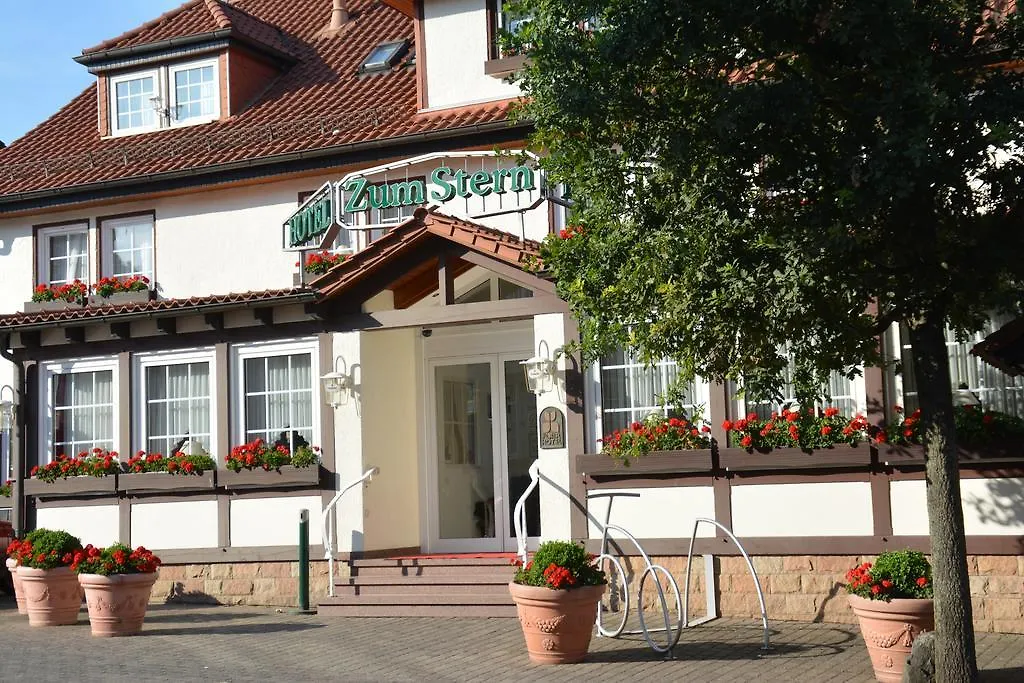 Parkhotel zum Stern-1