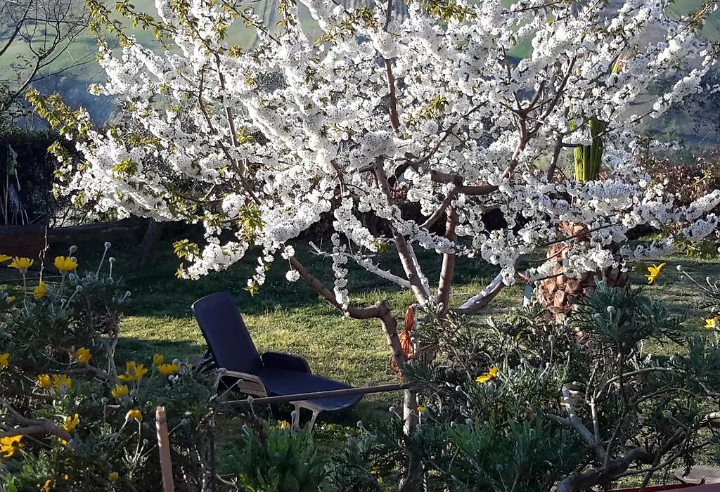 B&B L'Albero Di Antonia-1