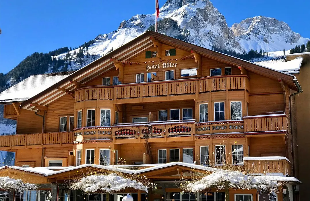Chalet Hotel Adler-1