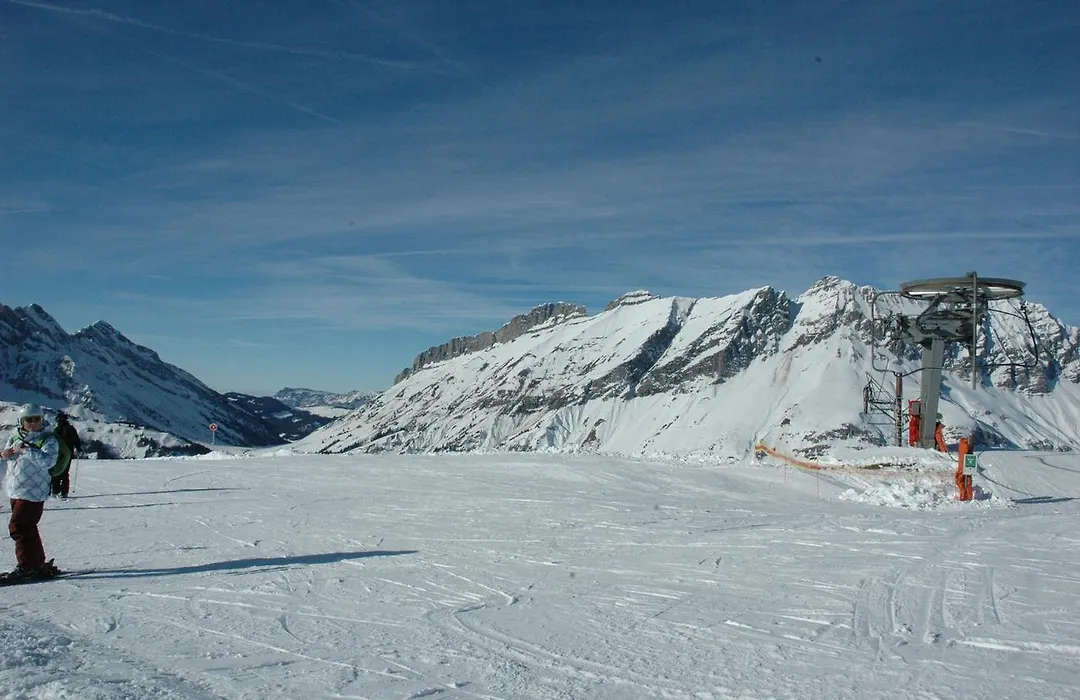 Hôtel Flor'Alpes-1