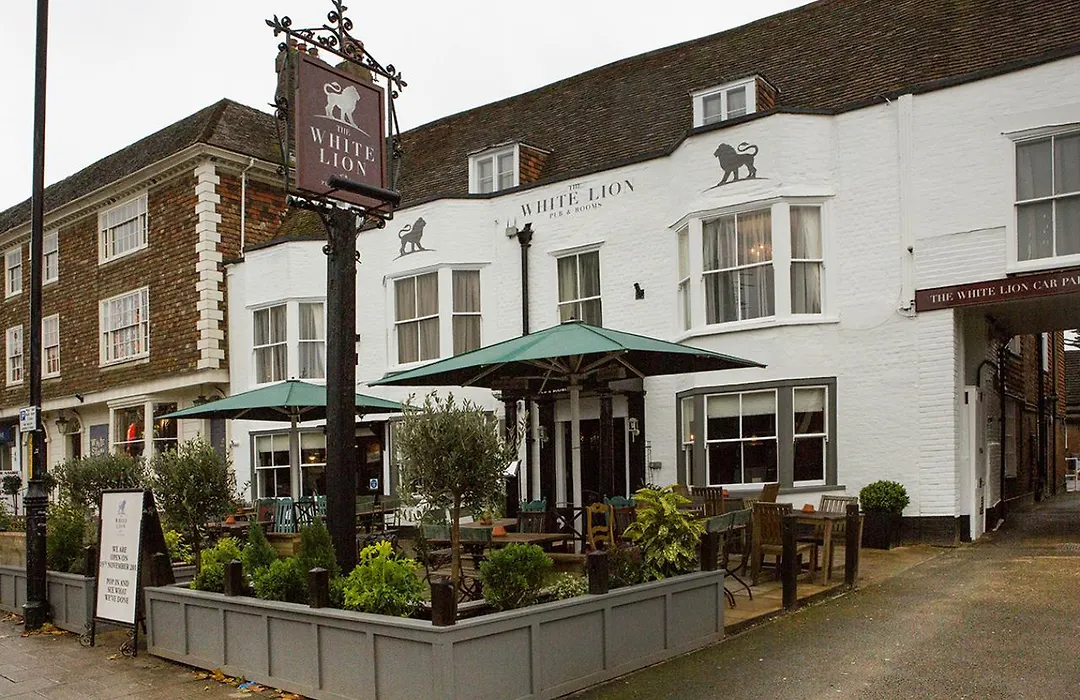 The White Lion-1