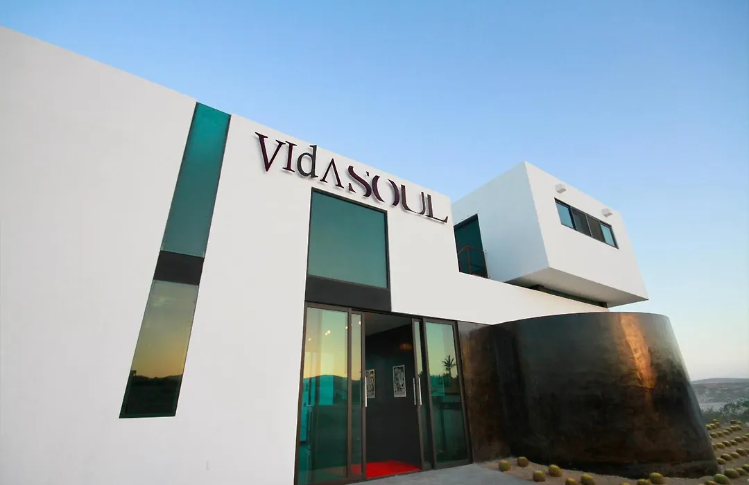 Vidasoul-1